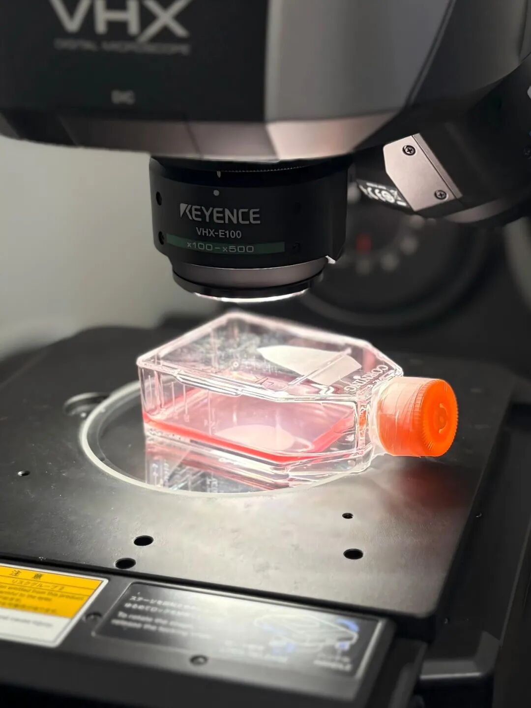 探秘诺贝尔级纳米科技！5天解锁富勒烯抗衰奇迹，高中生也能玩转实验室！