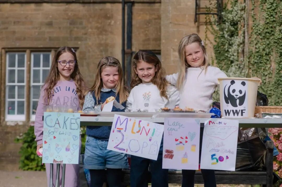 【精英名校推荐】佩罗特山学校 Perrott Hill School