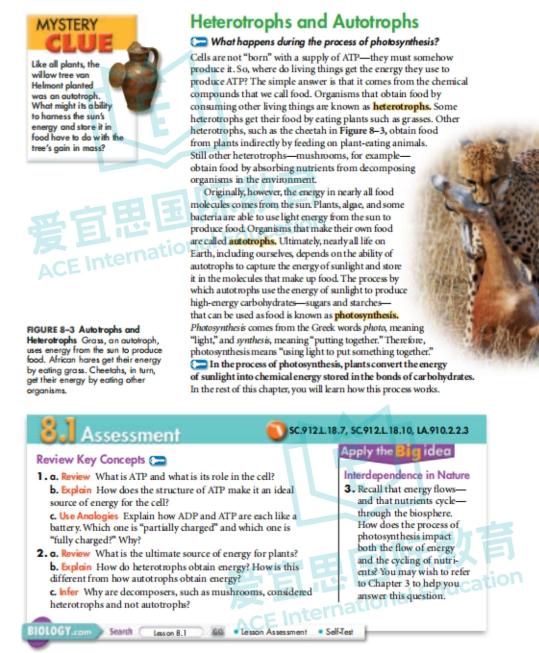 深度解析贝赛思生物课程体系+学习难点 深度解析贝赛思生物课程体系+学习难点