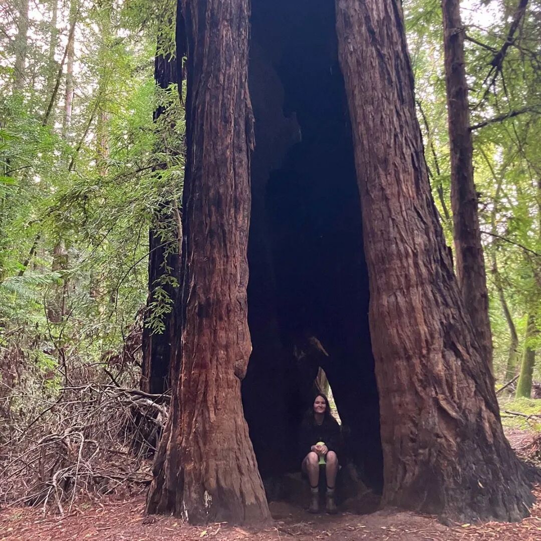 美国高中 | 湾区圣多明尼哥学校，加州最悠久寄宿学校，全美K-12高中位列#26，重视STEAM，体育和音乐出色，50%毕业生升读美国Top50大学