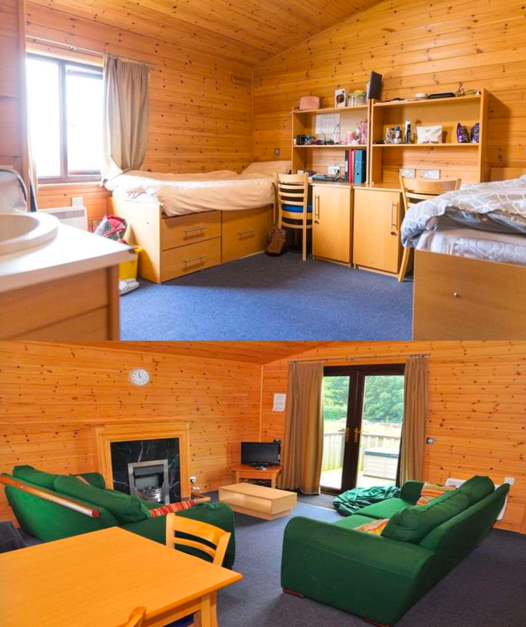 圆梦兽医！Abbotsholme顶尖动物医学夏校与高中专修课程全揭秘