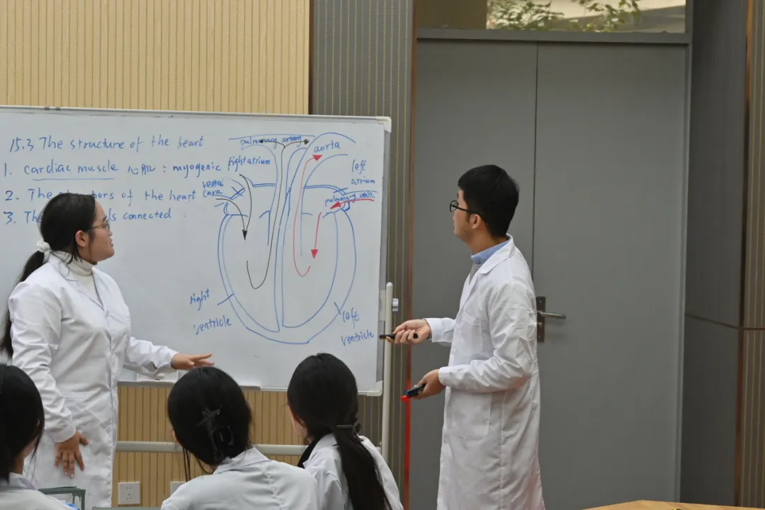 成都公办国际部｜成都七中国际部2026学年招生简章！2月1日开放日报名中！