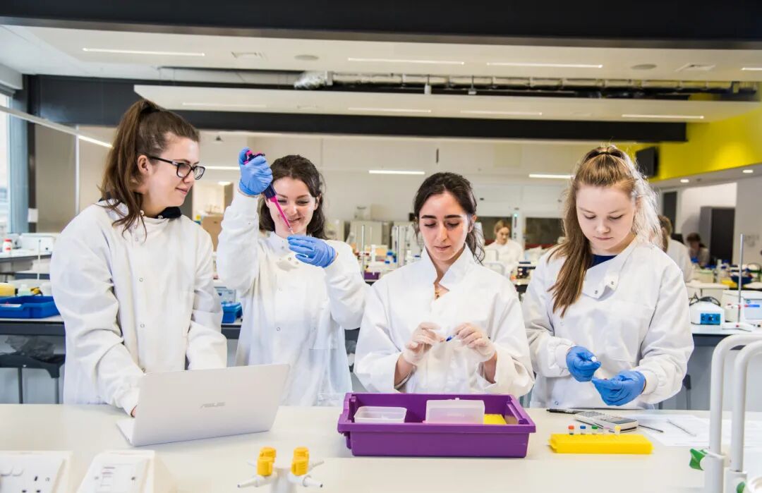 生物医学、药物科学、神经科学到底差别在哪？英国生命科学选专业避坑指南