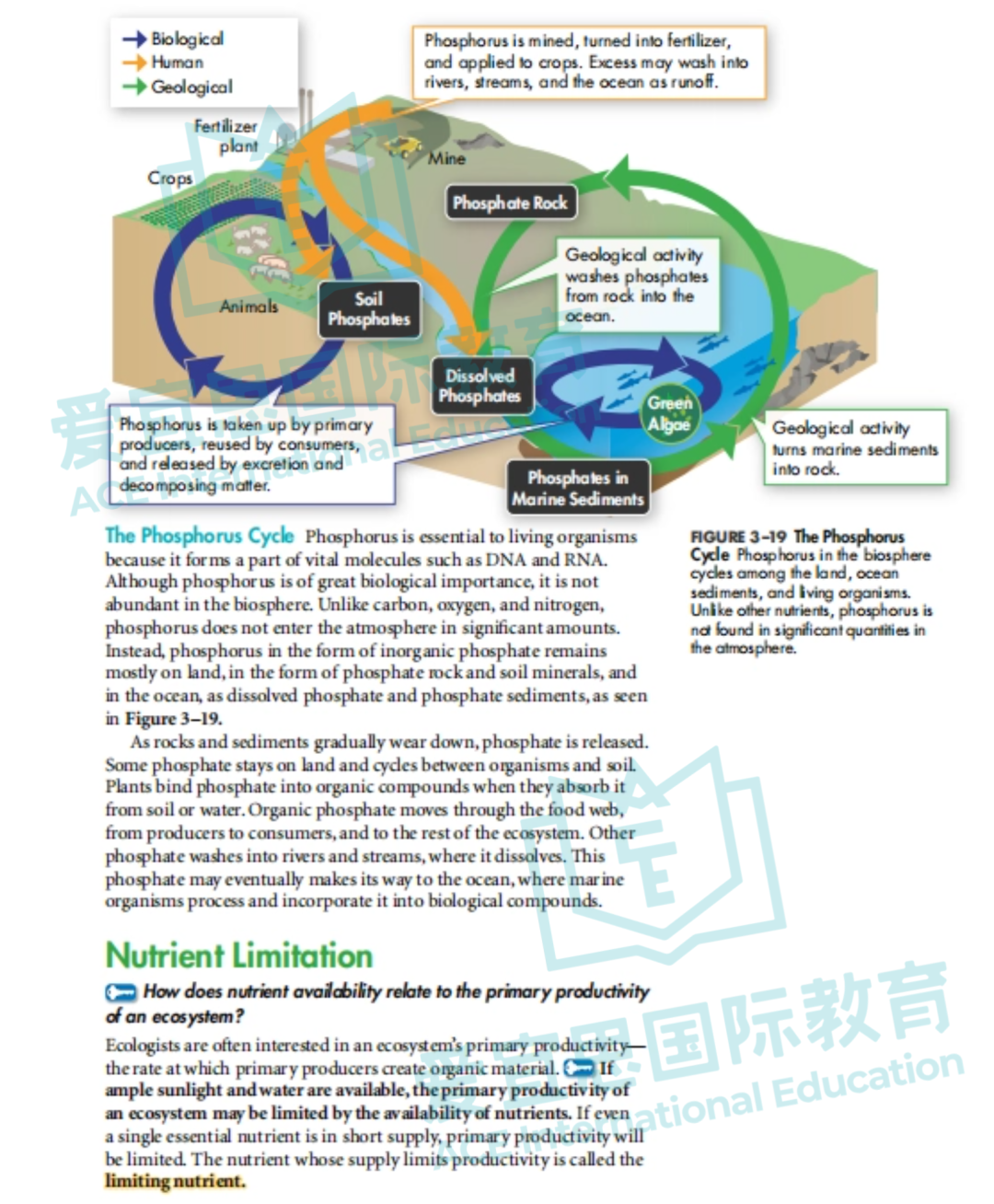 深度解析贝赛思生物课程体系+学习难点 深度解析贝赛思生物课程体系+学习难点