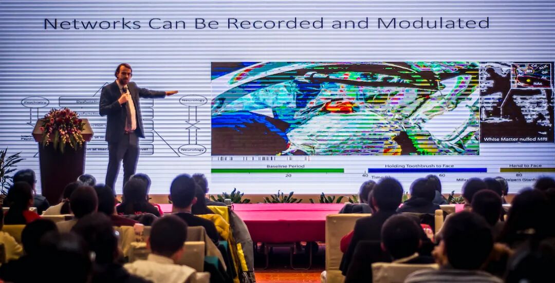 2026年Brain Bee脑科学大赛个人报名通道开启！2月1日截止报名！