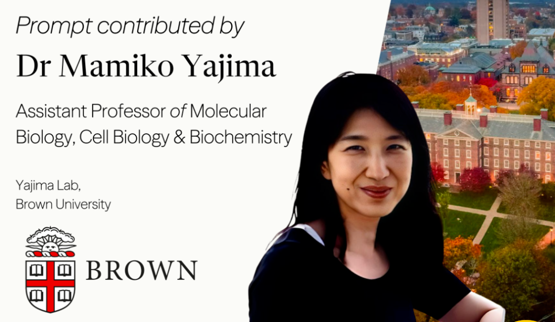 新年首赛重磅来袭｜剑桥Re:think论文赛放题，新增 Junior 组！