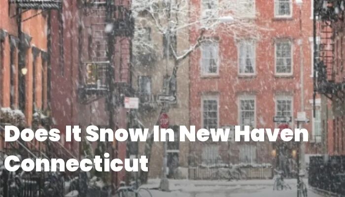 为什么那么多人拒掉了耶鲁?一场关于Yield Rate的顶级博弈 为什么那么多人拒掉了耶鲁?一场关于Yield Rate的顶级博弈