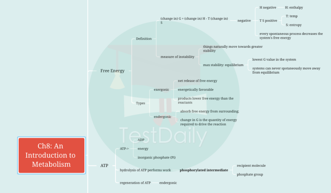 全美生物圈顶流比赛USABO，金奖老师长线备考USABO经验分享给你！