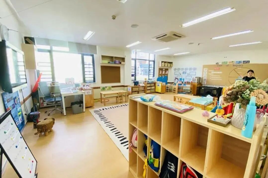 深圳国际学校｜深圳市深美外籍人员子女学校，提供AP、A-Level和DSE课程！