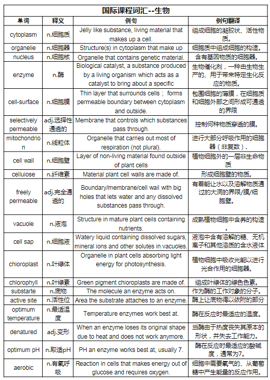 假如从一月份开始准备26年IB考试，该如何备考？附26年五月大考时间安排