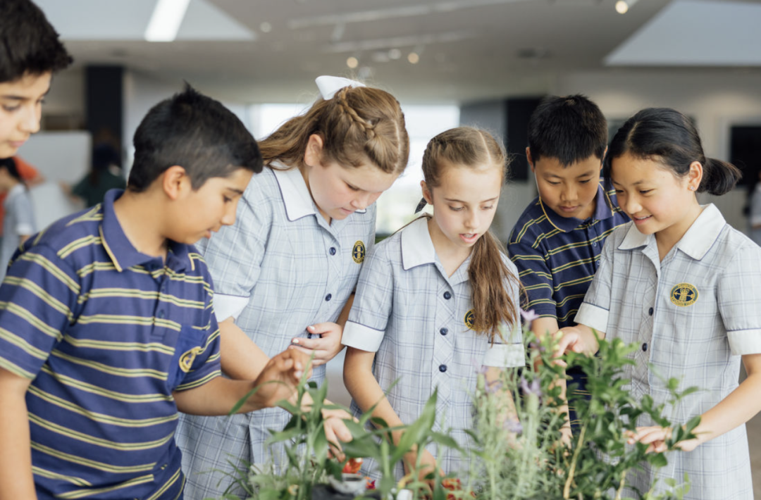 【南澳私立寄宿混校】彭布罗克学校 Pembroke School！