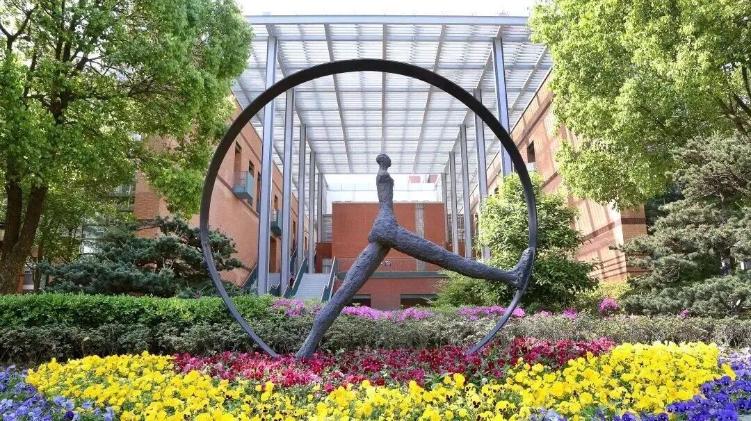 2026上海国际择校新趋势，学校招生考试要求汇总！