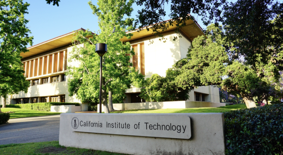 什么？AI 正在审阅和评分你的申请文书？