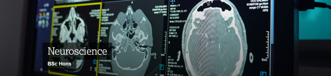 80%的人选错！生物医学、药物科学、神经科学，到底差别在哪？英国生命科学选专业避坑指南