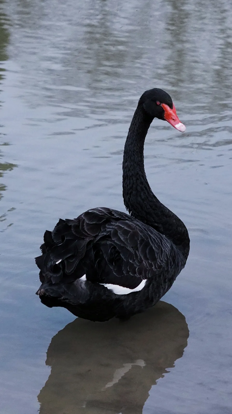 2026年上海阿德科特秋季招生简章！