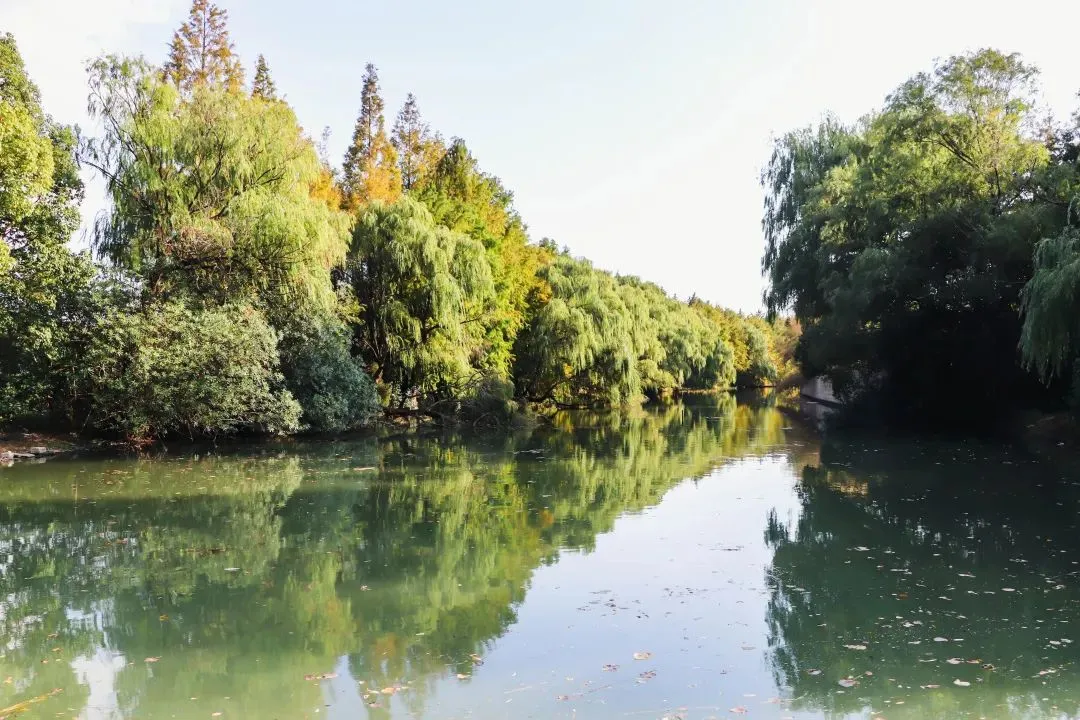 2026年上海阿德科特秋季招生简章！