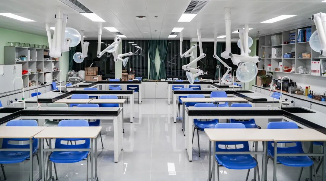 瑞得福国际学校2026年秋季招生启动！AP与A-Level双轨制开启全球升学新纪元！