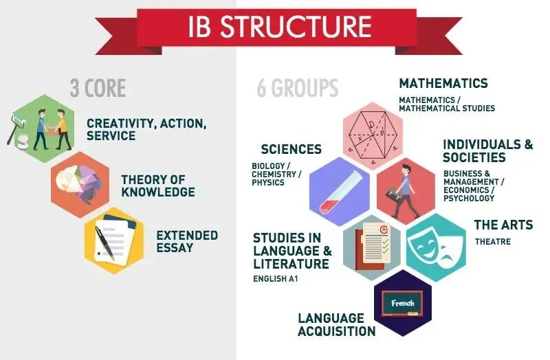 IB课程还能打吗？一文读懂“国际课程之王”的IB课程体系介绍！