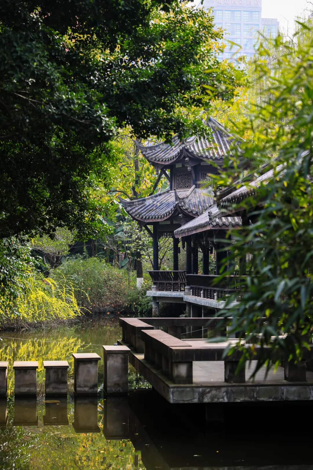 成都公办国际部｜成都七中国际部2026学年招生简章！2月1日开放日报名中！