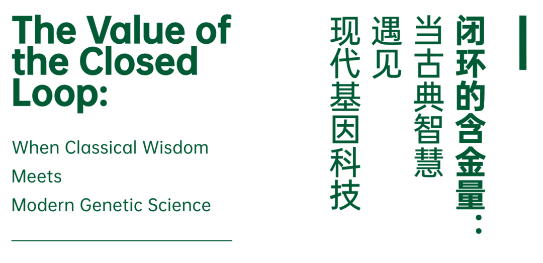 从苏州园林到联合国SDG实验室：Kaelan的科学探索进阶之路