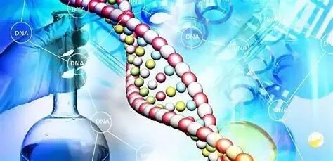 26年BBO竞赛考试遇改革以后最多题目？附真题（可打印）