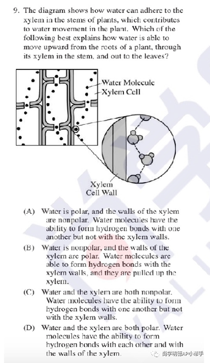 2026AP备考 | AP生物考试分析+各单元重难点梳理