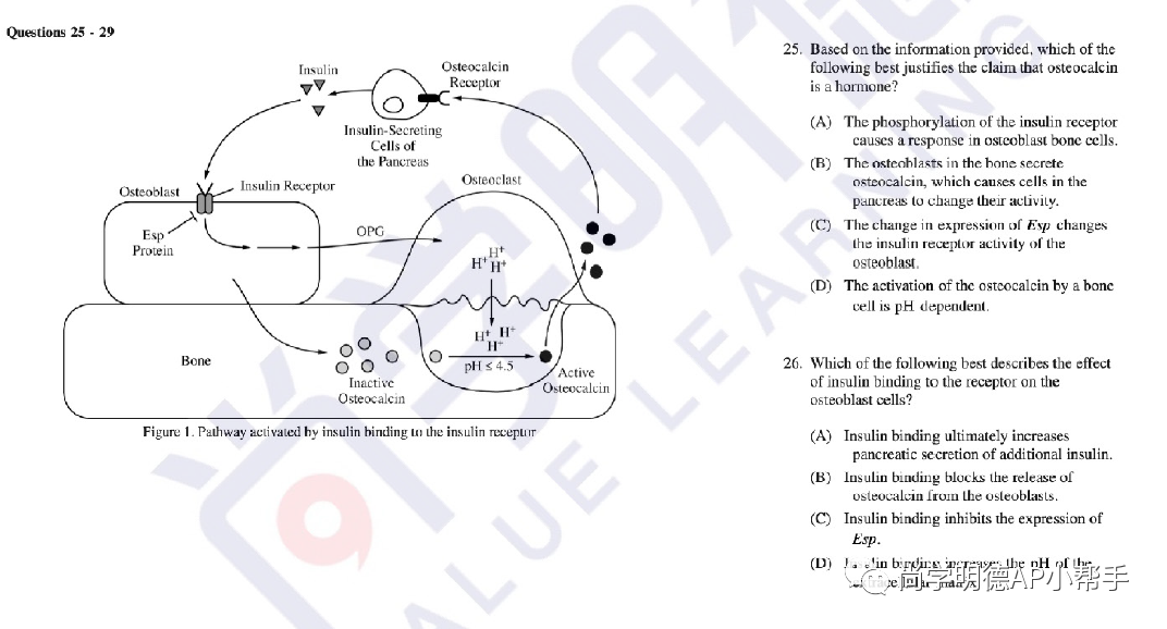 2026AP备考 | AP生物考试分析+各单元重难点梳理