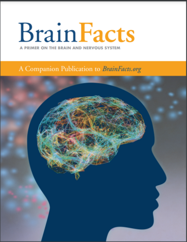 高含金量“申请利器”,为你打开神经科学大门 | Brain Bee竞赛经验分享 高含金量“申请利器”,为你打开神经科学大门 | Brain Bee竞赛经验分享