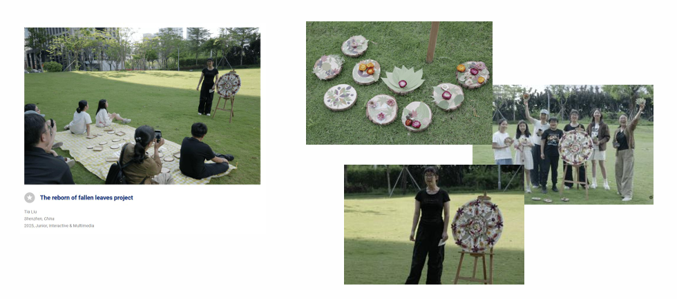 非艺术生也能冲的顶级艺术赛事！Bow Seat海洋意识竞赛2026正式启动！