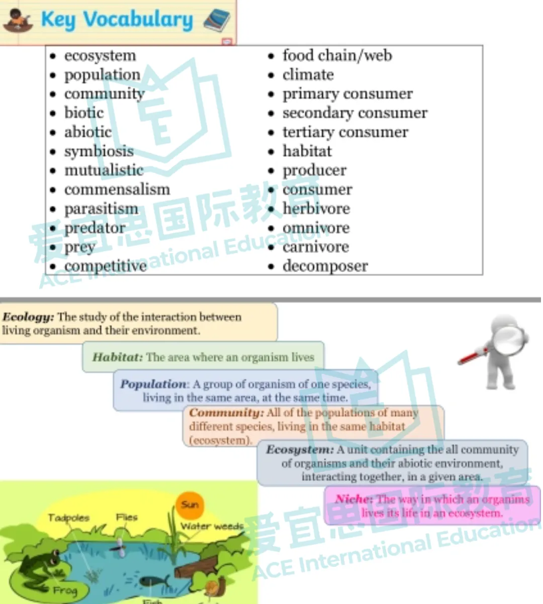 深度解析贝赛思生物课程体系+学习难点