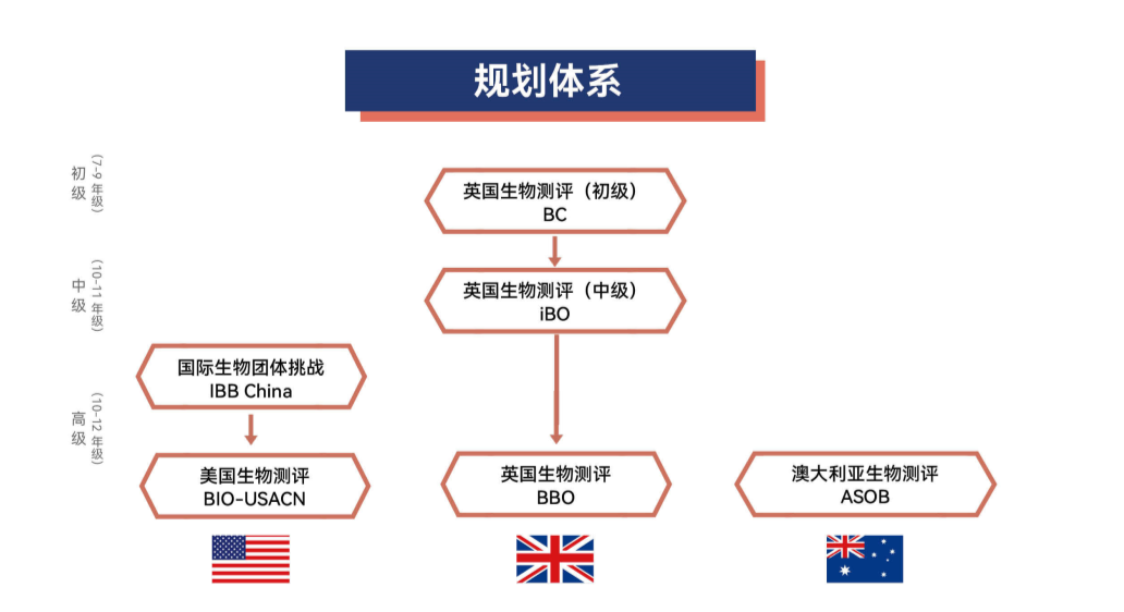 2026年USABO生物竞赛备考全攻略，附上海USABO培训课程
