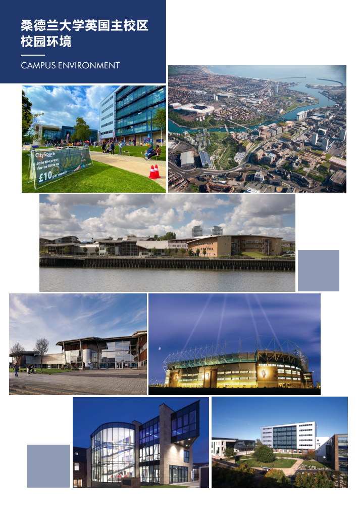 3+0中外合作办学|上海视觉艺术学院-英国桑德兰大学3+0/3+1国际本硕项目2026招生简章！