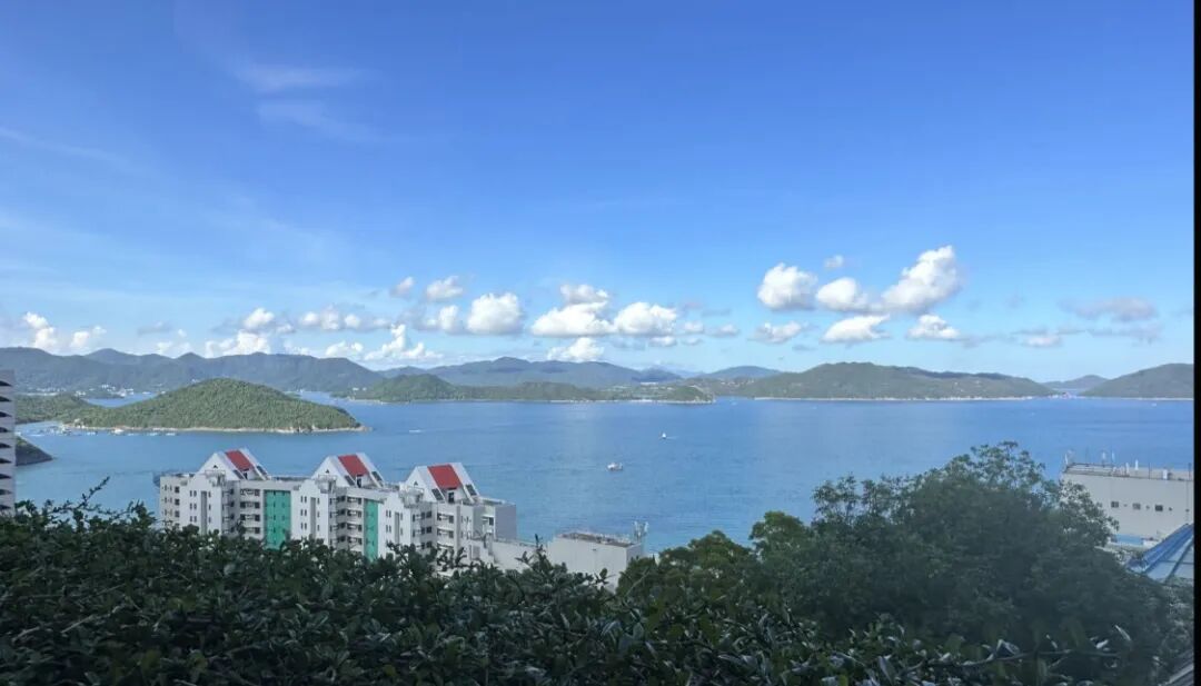 【香港名校课程】香港大学：法学与公共管理| 港大官方授课&官方证书签发