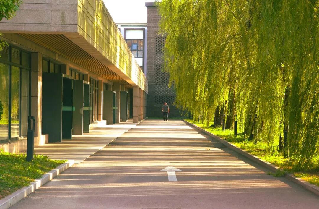 上海东光明中日国际高中2026年春季招生简章！