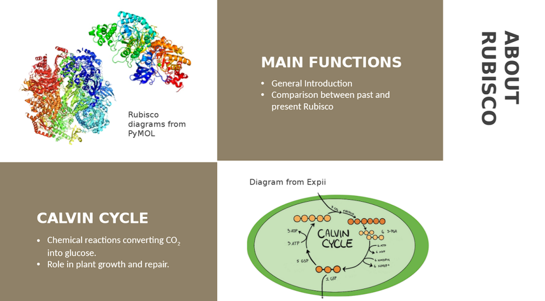 【官宣】2026帝国理工夏校报名开启，数学/工程学/生物科学与医学/金融经济/人工智能五大学科方向可选！