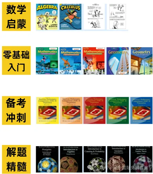 零基础普娃备考AMC8数学竞赛该如何做呢？想冲奖概率大吗？