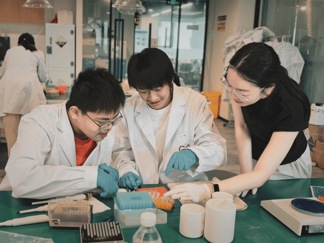 iGEM全球金奖背后，宏文STEM教育如何培养“能解决问题的人”？