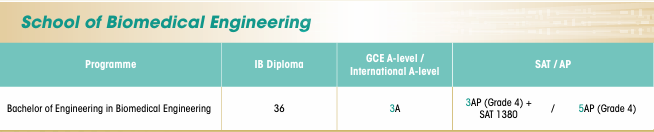 本科赴港留学必看！香港TOP 5大学申请要求汇总（AP/ALevel/托福/雅思）