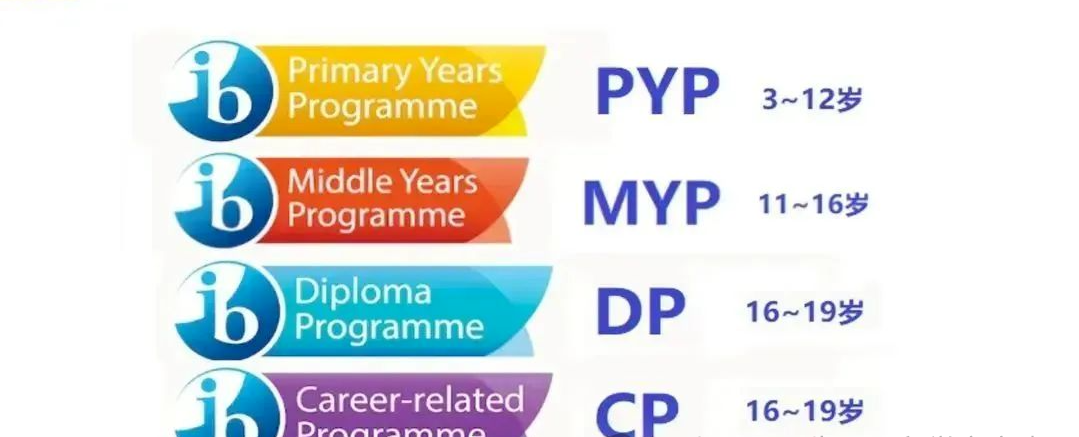 一文搞懂IB课程体系介绍，IB培训课程强烈安利！