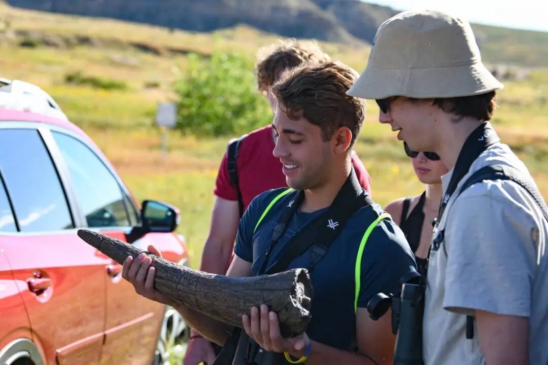 美国高中 | 科罗拉多喷泉谷学校，NICHE A+，科罗拉多州学术NO.1，马术项目实力雄厚