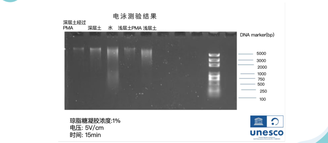 从苏州园林到联合国SDG实验室：Kaelan的科学探索进阶之路