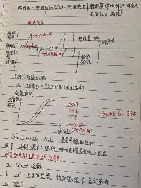 高含金量“申请利器”,为你打开神经科学大门 | Brain Bee竞赛经验分享 高含金量“申请利器”,为你打开神经科学大门 | Brain Bee竞赛经验分享