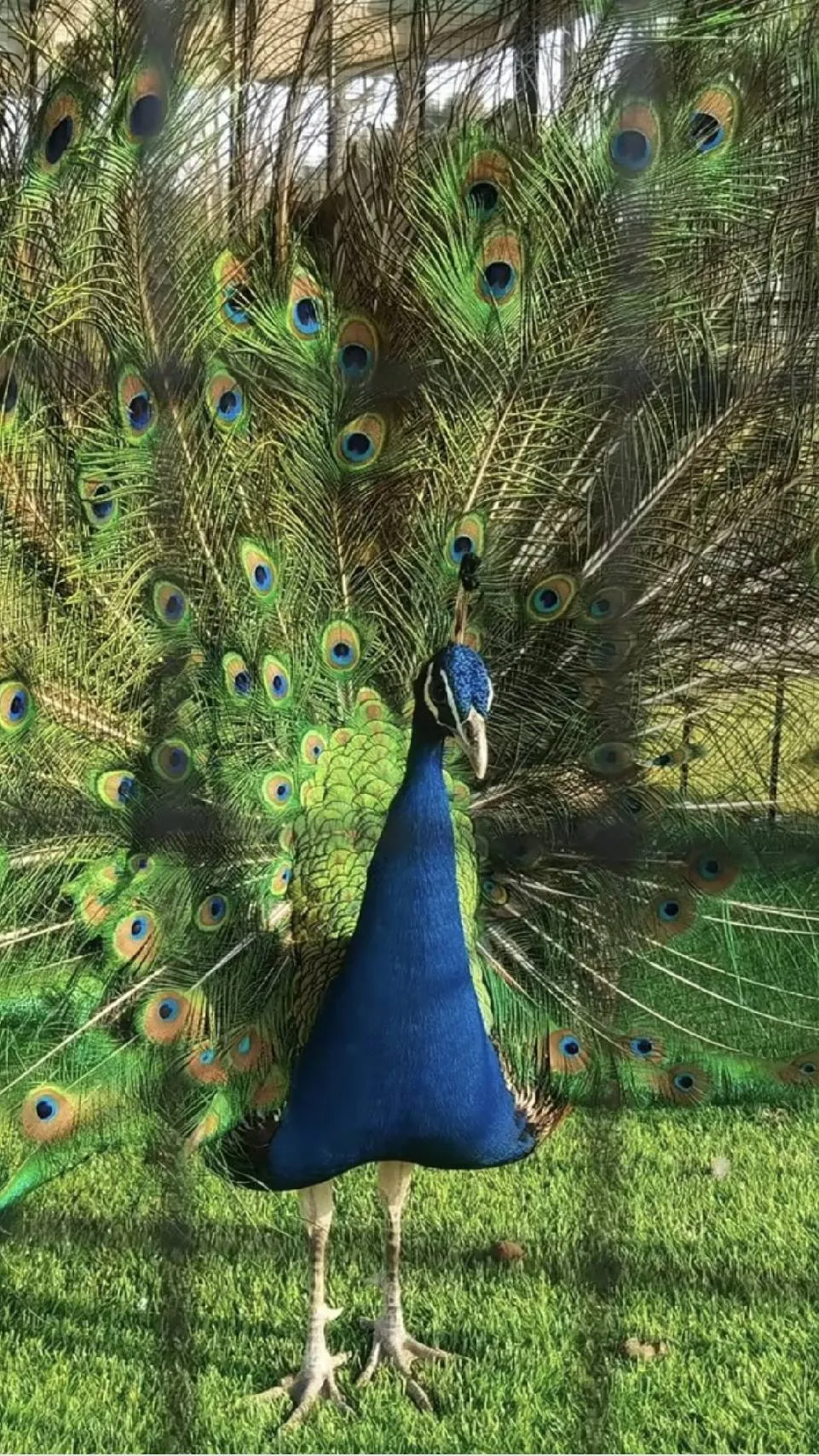 2026年上海阿德科特秋季招生简章！