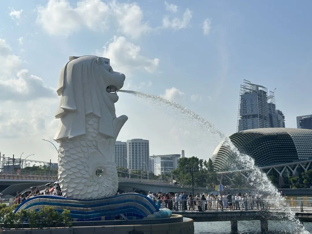 【新加坡】NUS/NTU取消标化！新加坡名校申请破局，冬夏校如何加分？