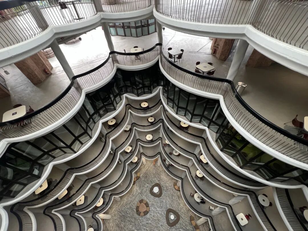 【新加坡】NUS/NTU取消标化！新加坡名校申请破局，冬夏校如何加分？