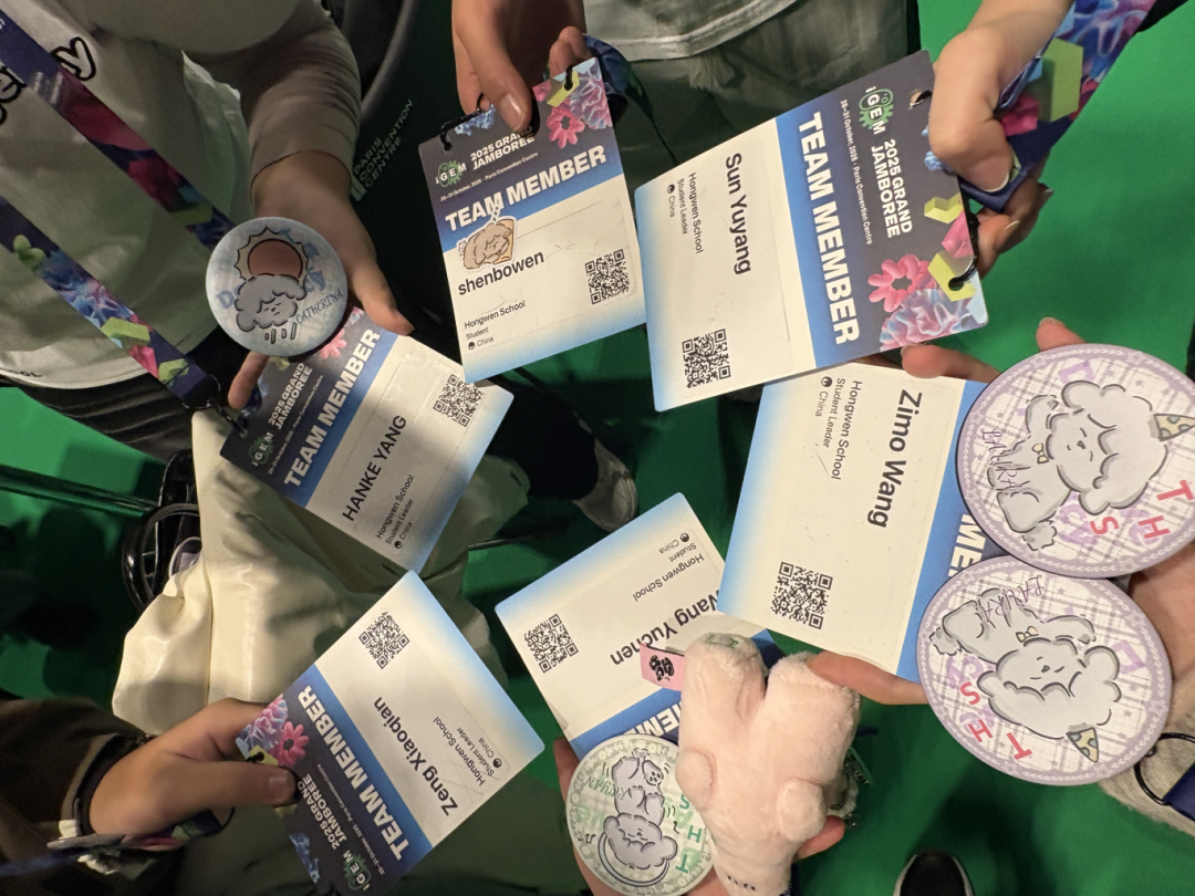 iGEM全球金奖背后 宏文STEM教育如何培养“能解决问题的人”？