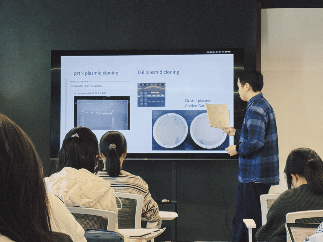 iGEM全球金奖背后，宏文STEM教育如何培养“能解决问题的人”？