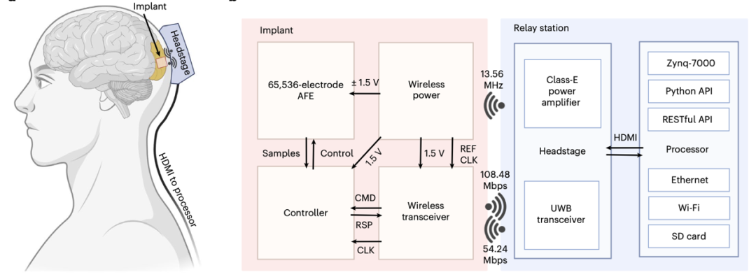 2025年前沿科技盘点：哪些方向正在成为青少年科创热点？