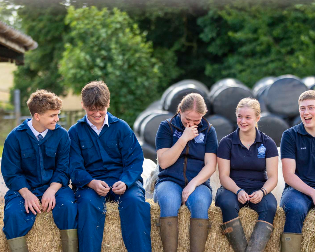 圆梦兽医！Abbotsholme顶尖动物医学夏校与高中专修课程全揭秘