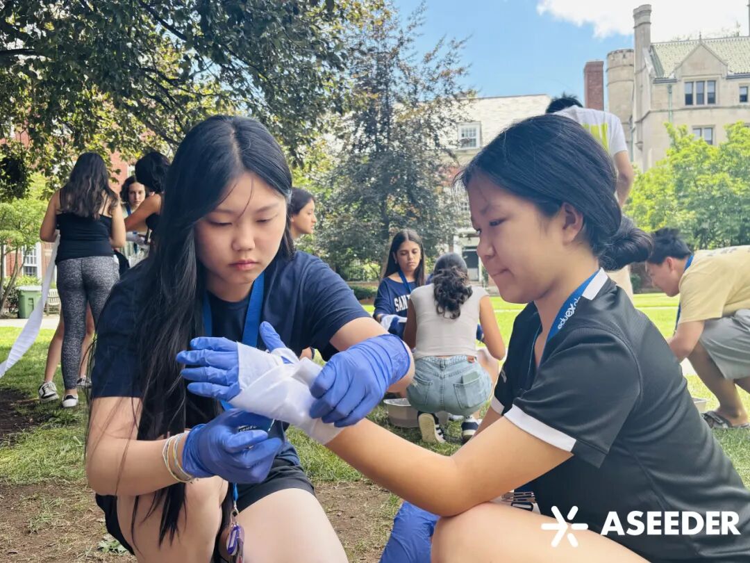 【官宣】耶鲁夏校申请开放：STEM理工科 | 生物科学与医学 | 人文与社会科学